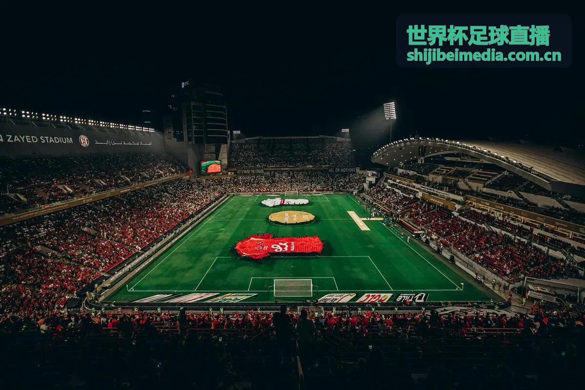 世界杯足球直播 - 转会新闻：夏季转会窗重磅消息汇总